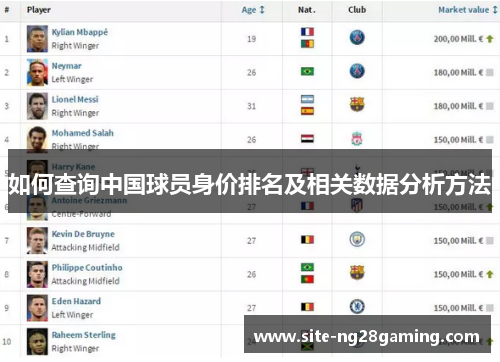 如何查询中国球员身价排名及相关数据分析方法