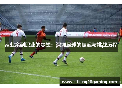 从业余到职业的梦想：深圳足球的崛起与挑战历程