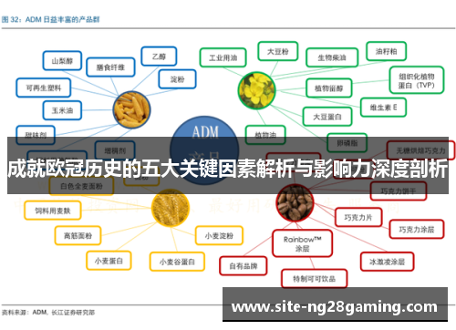 成就欧冠历史的五大关键因素解析与影响力深度剖析