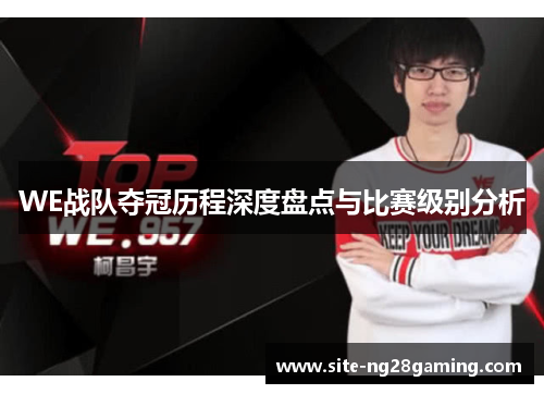 WE战队夺冠历程深度盘点与比赛级别分析