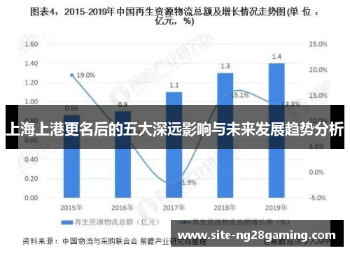 上海上港更名后的五大深远影响与未来发展趋势分析
