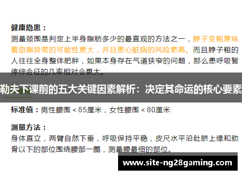 勒夫下课前的五大关键因素解析：决定其命运的核心要素