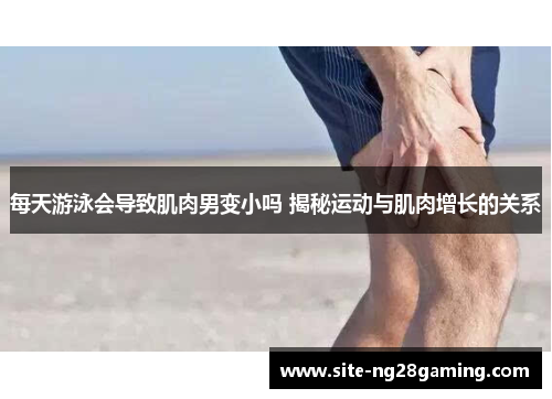 每天游泳会导致肌肉男变小吗 揭秘运动与肌肉增长的关系