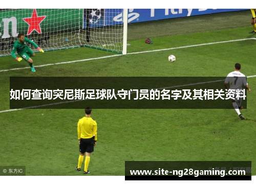 如何查询突尼斯足球队守门员的名字及其相关资料