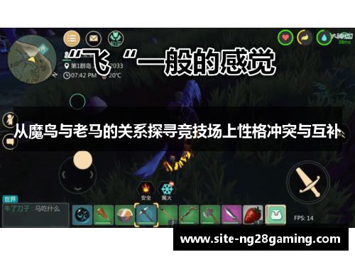 从魔鸟与老马的关系探寻竞技场上性格冲突与互补