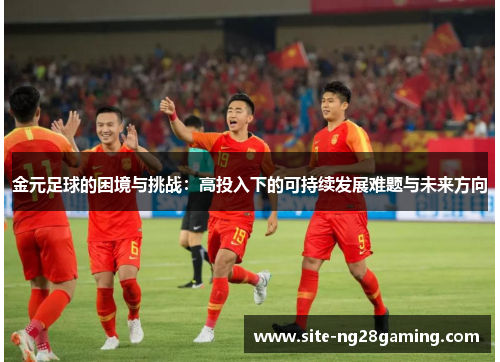 金元足球的困境与挑战：高投入下的可持续发展难题与未来方向