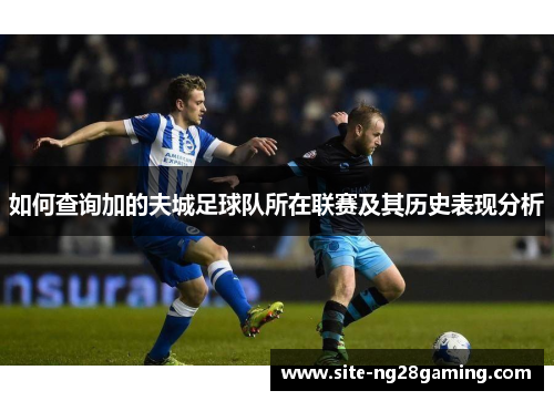 如何查询加的夫城足球队所在联赛及其历史表现分析