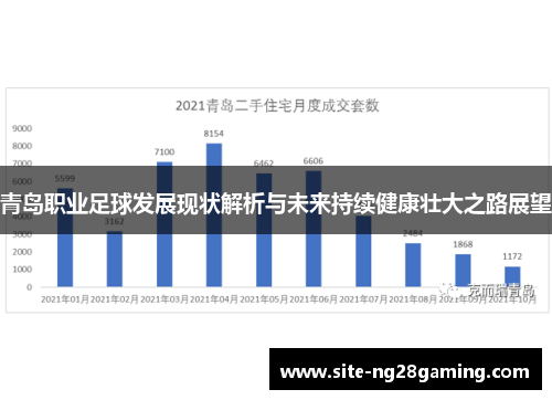 青岛职业足球发展现状解析与未来持续健康壮大之路展望